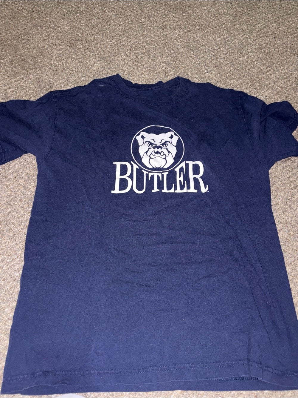 American Eagle Outfitters Navy Graphic Crew Neck Tee